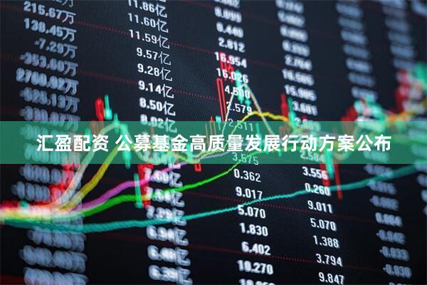 汇盈配资 公募基金高质量发展行动方案公布