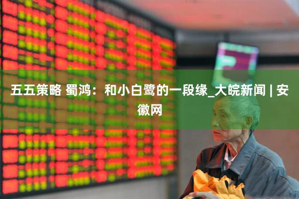 五五策略 蜀鸿：和小白鹭的一段缘_大皖新闻 | 安徽网