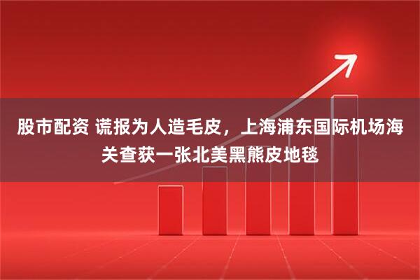 股市配资 谎报为人造毛皮，上海浦东国际机场海关查获一张北美黑熊皮地毯