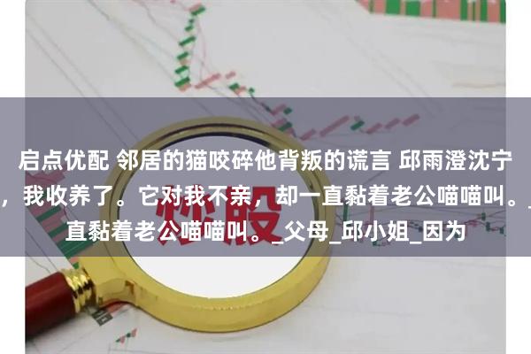 启点优配 邻居的猫咬碎他背叛的谎言 邱雨澄沈宁辰夏采薇 邻居弃猫，我收养了。它对我不亲，却一直黏着老公喵喵叫。_父母_邱小姐_因为