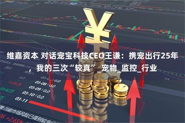 维嘉资本 对话宠宝科技CEO王谦：携宠出行25年，我的三次“较真”_宠物_监控_行业