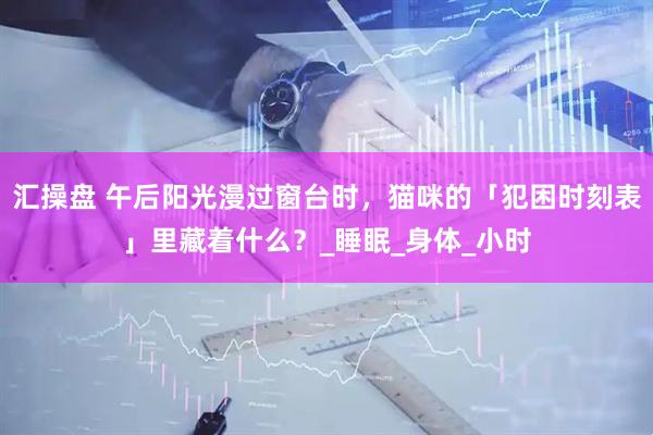 汇操盘 午后阳光漫过窗台时，猫咪的「犯困时刻表」里藏着什么？_睡眠_身体_小时