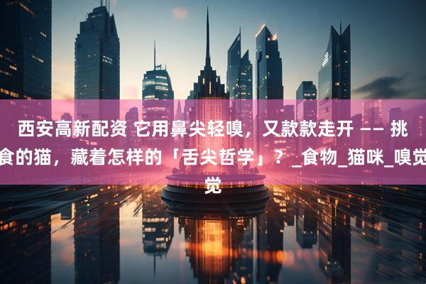 西安高新配资 它用鼻尖轻嗅，又款款走开 —— 挑食的猫，藏着怎样的「舌尖哲学」？_食物_猫咪_嗅觉