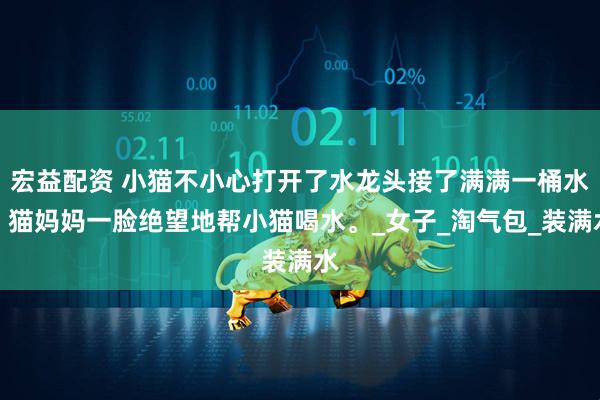 宏益配资 小猫不小心打开了水龙头接了满满一桶水，猫妈妈一脸绝望地帮小猫喝水。_女子_淘气包_装满水