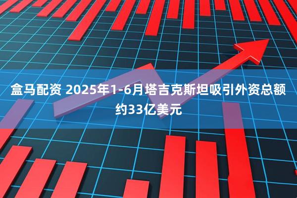 盒马配资 2025年1-6月塔吉克斯坦吸引外资总额约33亿美元