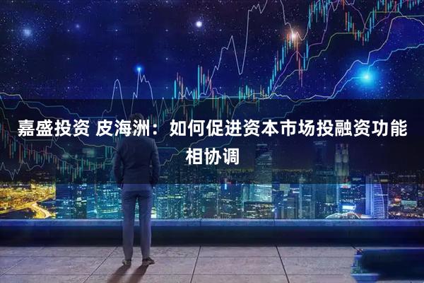 嘉盛投资 皮海洲：如何促进资本市场投融资功能相协调