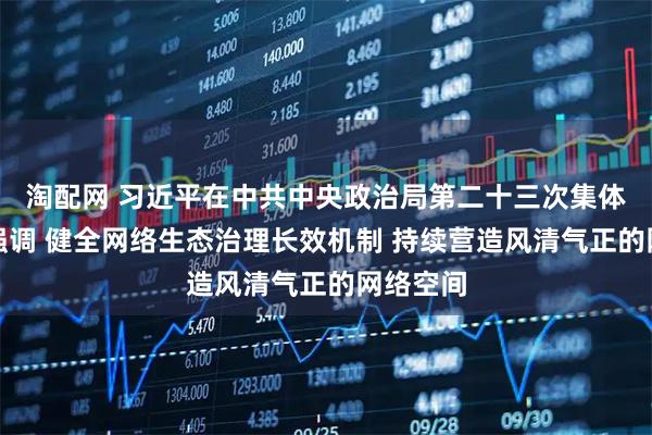 淘配网 习近平在中共中央政治局第二十三次集体学习时强调 健全网络生态治理长效机制 持续营造风清气正的网络空间