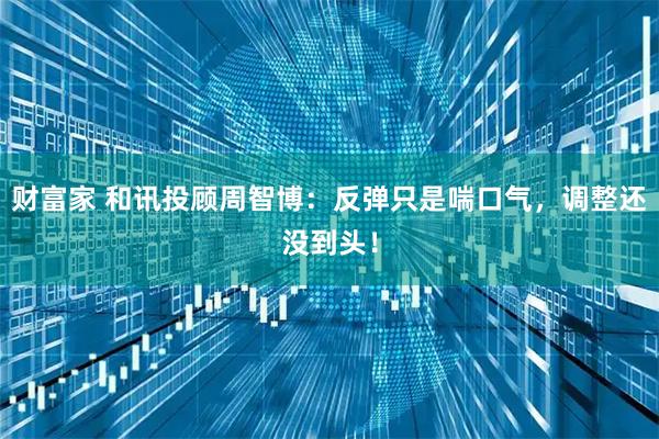 财富家 和讯投顾周智博：反弹只是喘口气，调整还没到头！